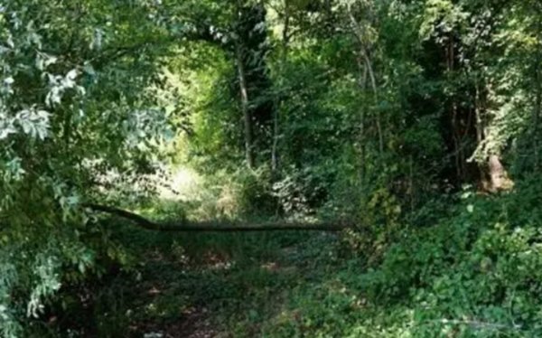 terreno agricolo in vendita a Sovizzo in zona Gambugliano