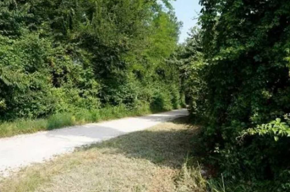 terreno agricolo in vendita a Sovizzo in zona Monte San Lorenzo