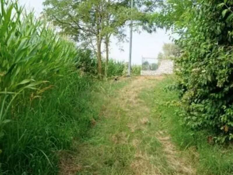 terreno agricolo in vendita a Sovizzo in zona Monte San Lorenzo