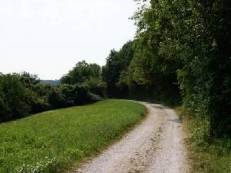 terreno agricolo in vendita a Sovizzo in zona Gambugliano