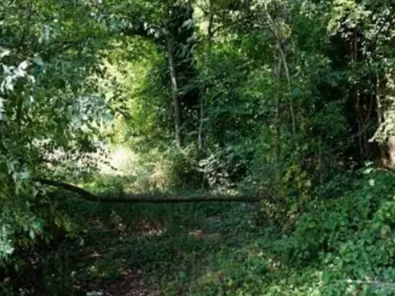 terreno agricolo in vendita a Sovizzo in zona Gambugliano