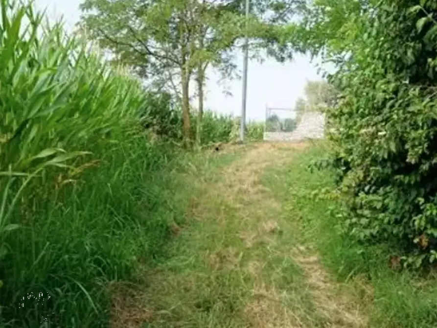 terreno agricolo in vendita a Sovizzo in zona Gambugliano