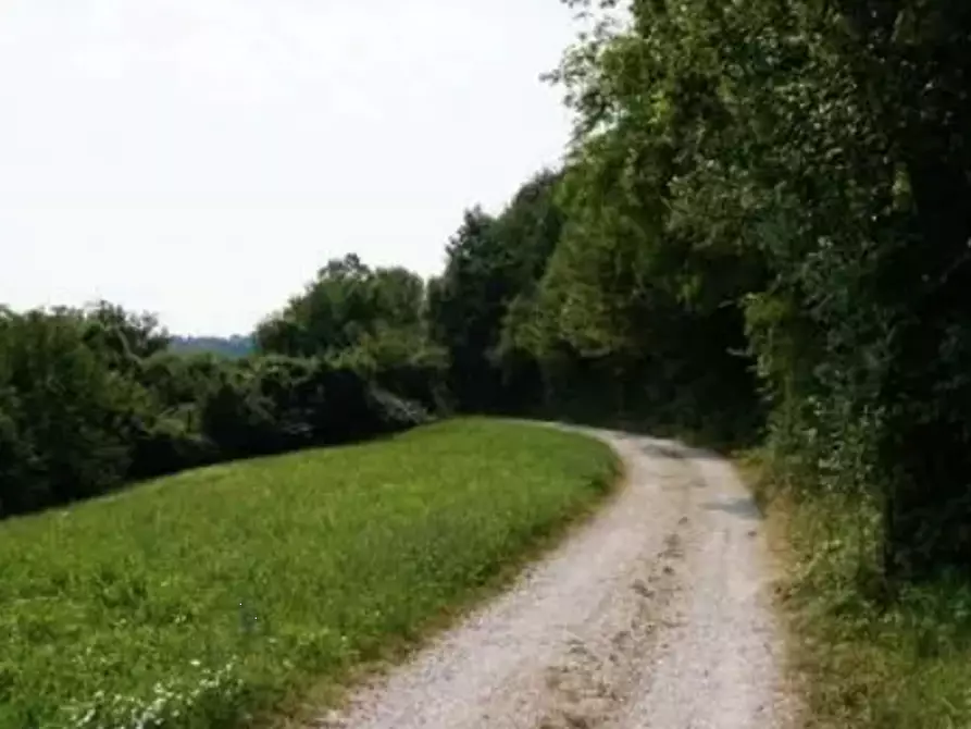 terreno agricolo in vendita a Sovizzo in zona Gambugliano