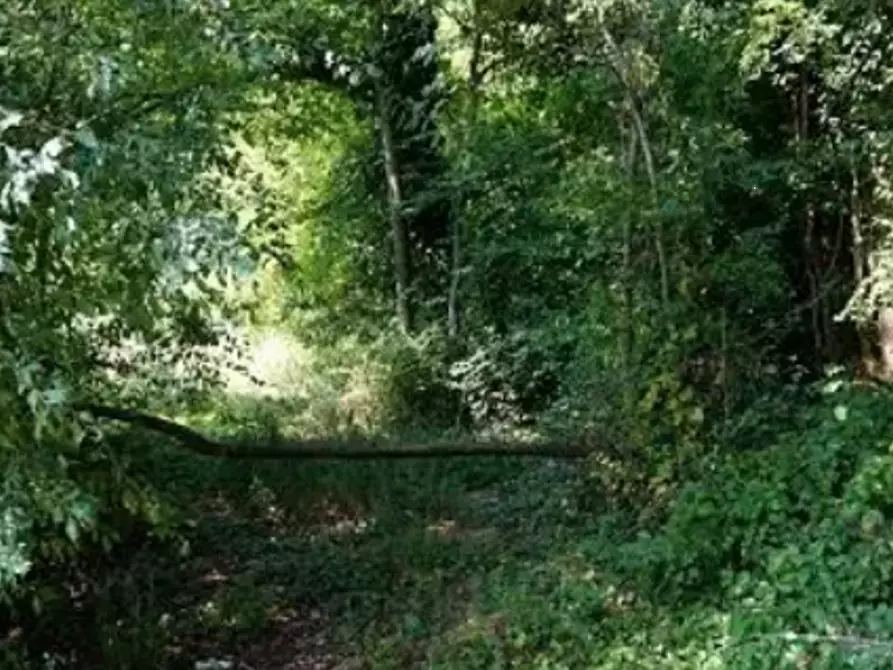 terreno agricolo in vendita a Sovizzo in zona Gambugliano