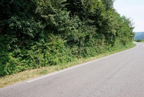 terreno edificabile in vendita a Sovizzo in zona Gambugliano