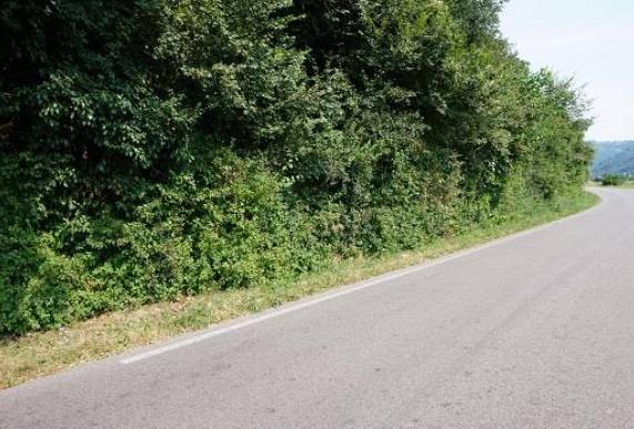 terreno edificabile in vendita a Sovizzo in zona Gambugliano
