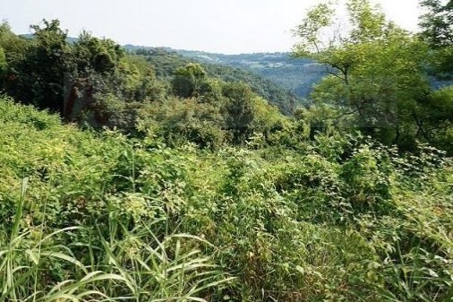 terreno edificabile in vendita a Sovizzo in zona Monte San Lorenzo