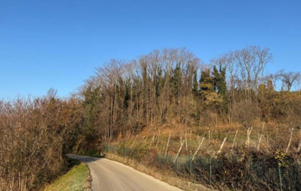 terreno agricolo in vendita a Sovizzo in zona Gambugliano