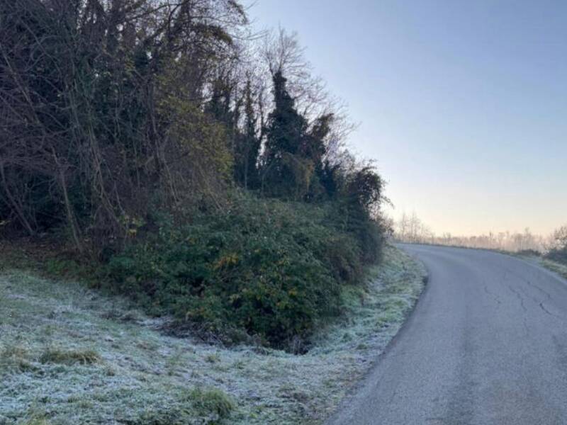 terreno agricolo in vendita a Sovizzo in zona Gambugliano