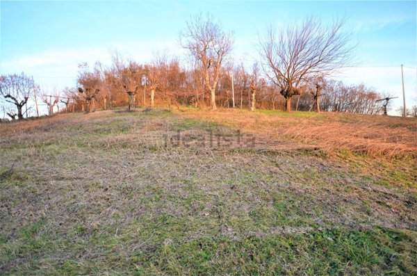 terreno agricolo in vendita a Sovizzo