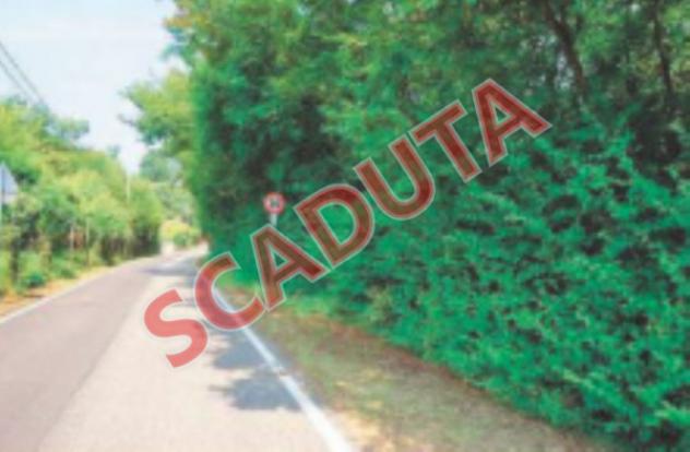 terreno agricolo in vendita a Sovizzo in zona Monte San Lorenzo