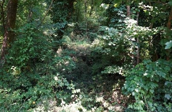terreno agricolo in vendita a Sovizzo in zona Gambugliano