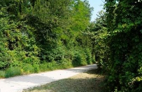terreno agricolo in vendita a Sovizzo in zona Monte San Lorenzo