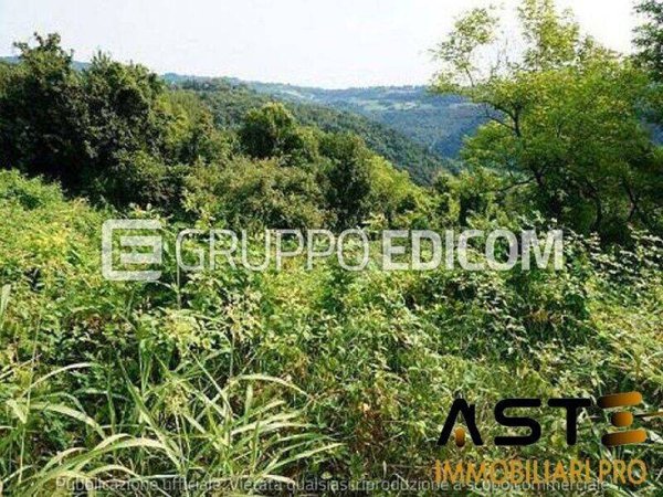 terreno agricolo in vendita a Sovizzo in zona Monte San Lorenzo
