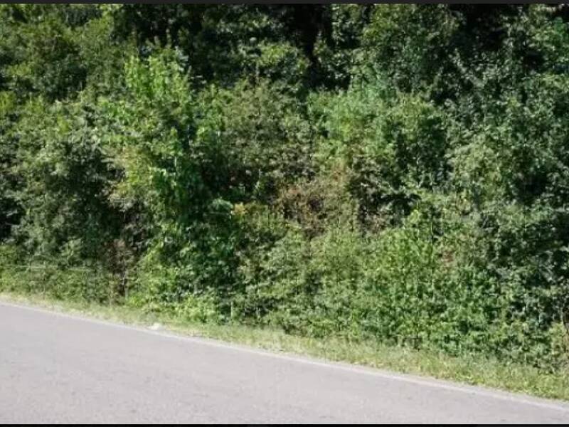 terreno agricolo in vendita a Sovizzo in zona Gambugliano