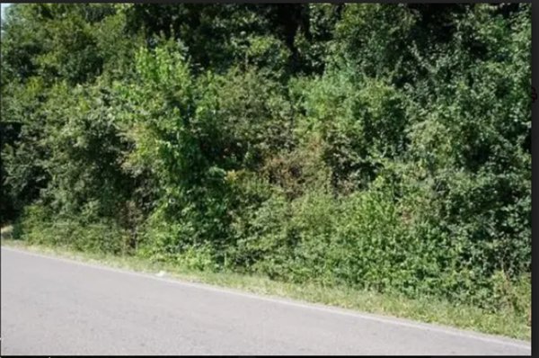 terreno agricolo in vendita a Sovizzo in zona Gambugliano