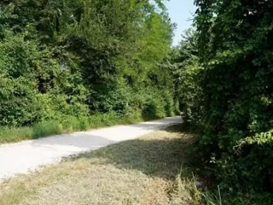 terreno agricolo in vendita a Sovizzo in zona Monte San Lorenzo