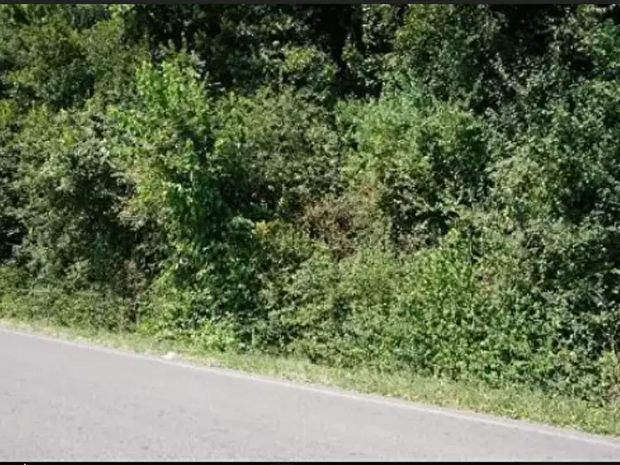 terreno agricolo in vendita a Sovizzo in zona Gambugliano