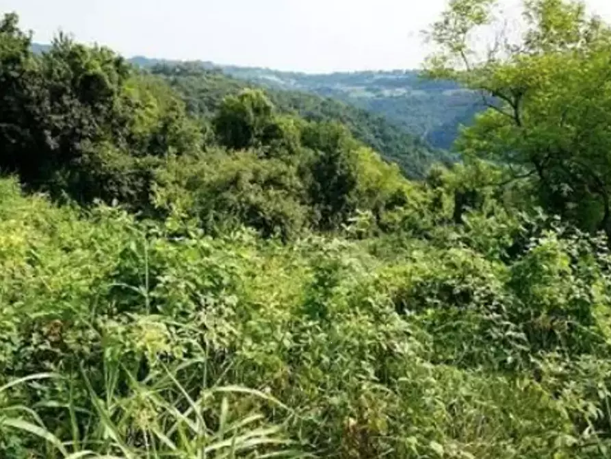 terreno agricolo in vendita a Sovizzo in zona Monte San Lorenzo