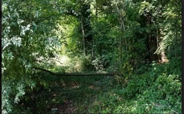 terreno agricolo in vendita a Sovizzo in zona Gambugliano
