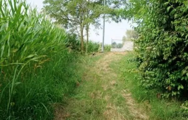 terreno agricolo in vendita a Sovizzo in zona Monte San Lorenzo