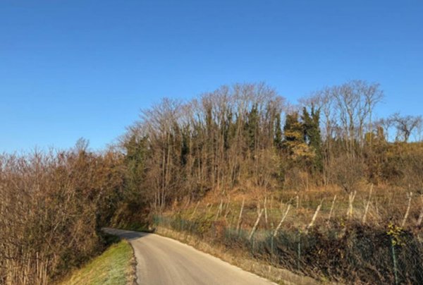 terreno agricolo in vendita a Sovizzo in zona Gambugliano
