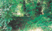 terreno edificabile in vendita a Sovizzo in zona Gambugliano