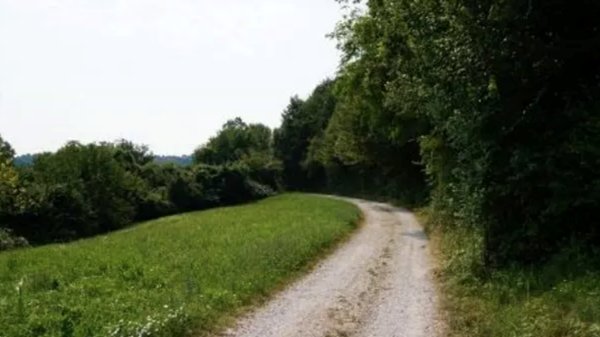 terreno agricolo in vendita a Sovizzo in zona Monte San Lorenzo