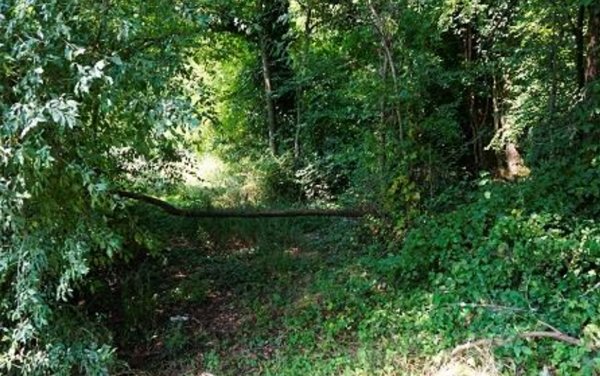 terreno agricolo in vendita a Sovizzo