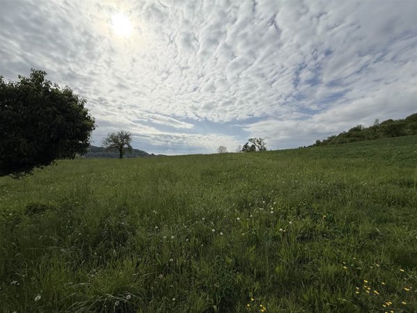 terreno agricolo in vendita a Sovizzo in zona Montemezzo