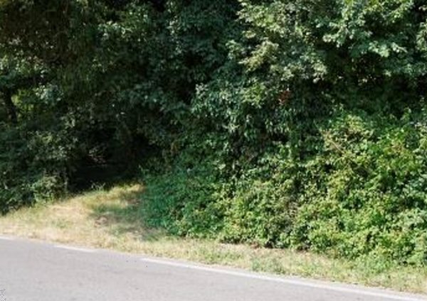 terreno agricolo in vendita a Sovizzo