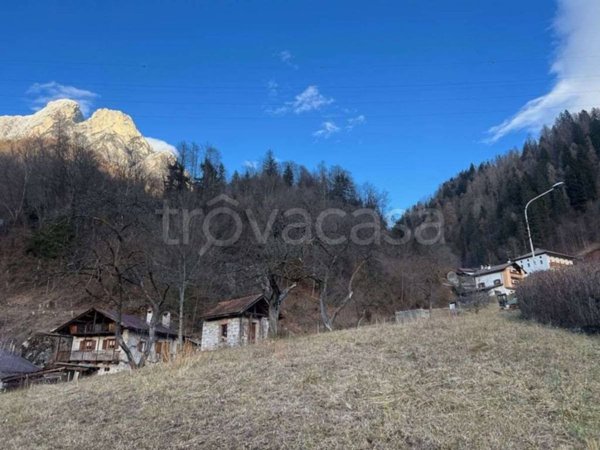 terreno agricolo in vendita ad Agordo
