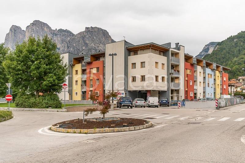 negozio in vendita ad Agordo