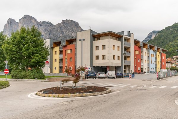 negozio in vendita ad Agordo in zona Crostolin