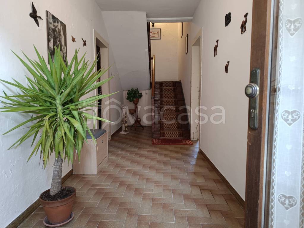 immagine annuncio 0 di 15