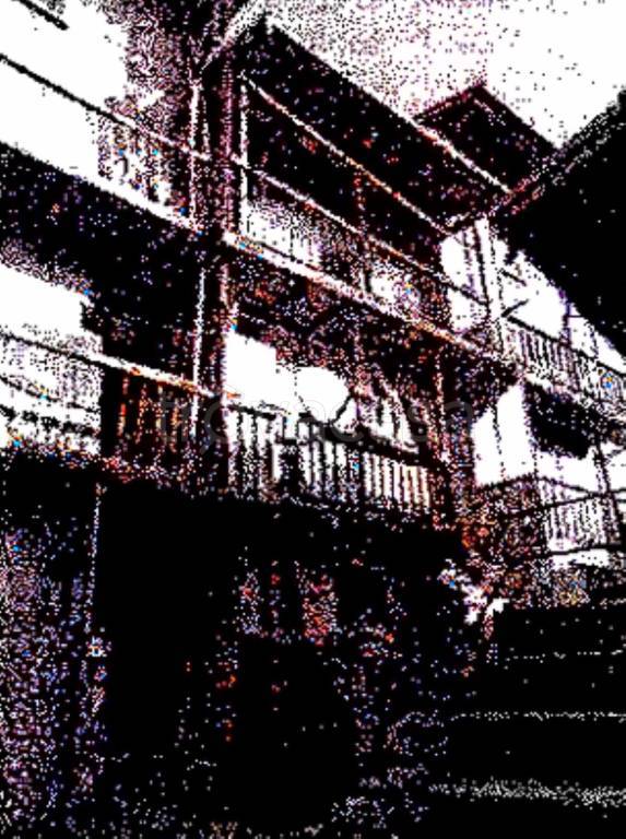 pentavano in vendita ad Arsiè