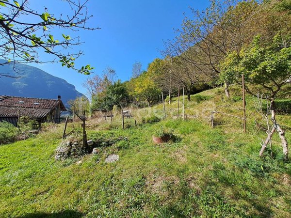 terreno agricolo in vendita ad Arsiè in zona Rocca