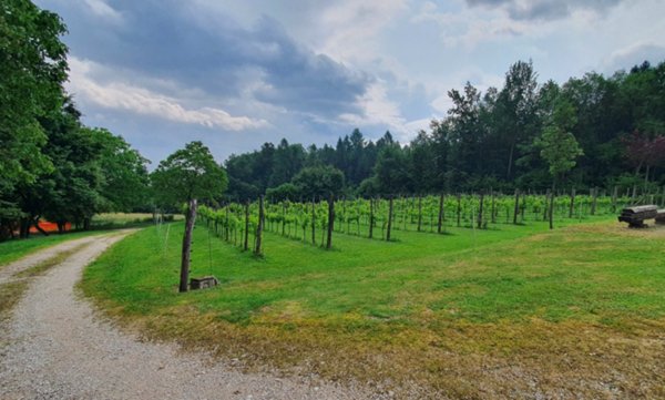 terreno edificabile in vendita ad Arsiè