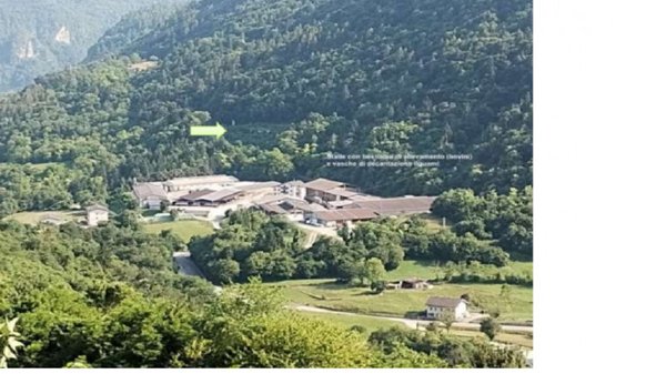 casa semindipendente in vendita ad Arsiè