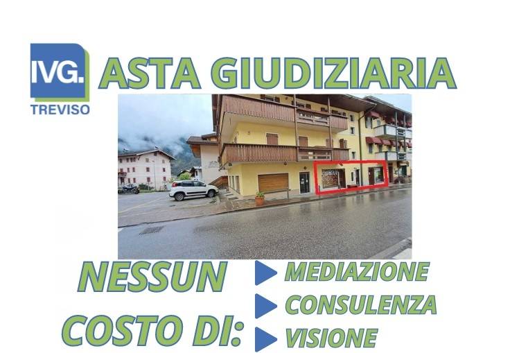 negozio in vendita ad Auronzo di Cadore