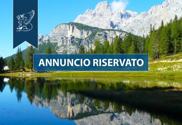casa indipendente in vendita ad Auronzo di Cadore in zona Misurina