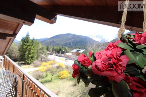 appartamento in vendita ad Auronzo di Cadore