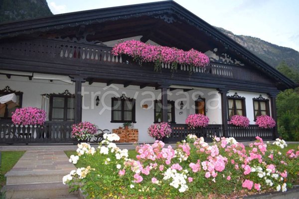 casa indipendente in vendita ad Auronzo di Cadore