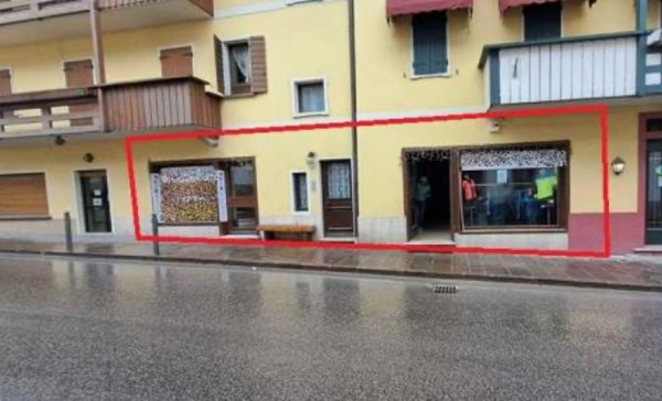 negozio in vendita ad Auronzo di Cadore