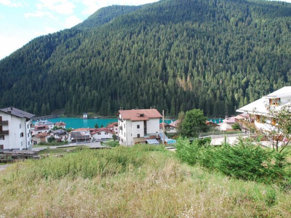 terreno agricolo in vendita ad Auronzo di Cadore