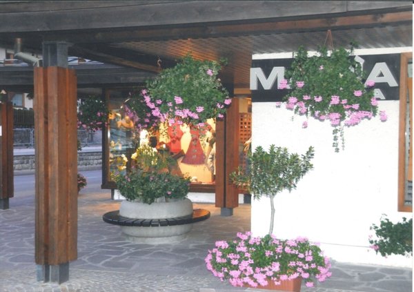negozio in vendita ad Auronzo di Cadore