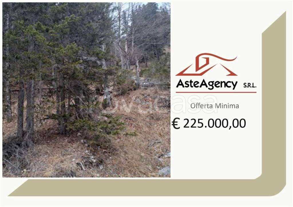 terreno agricolo in vendita ad Auronzo di Cadore