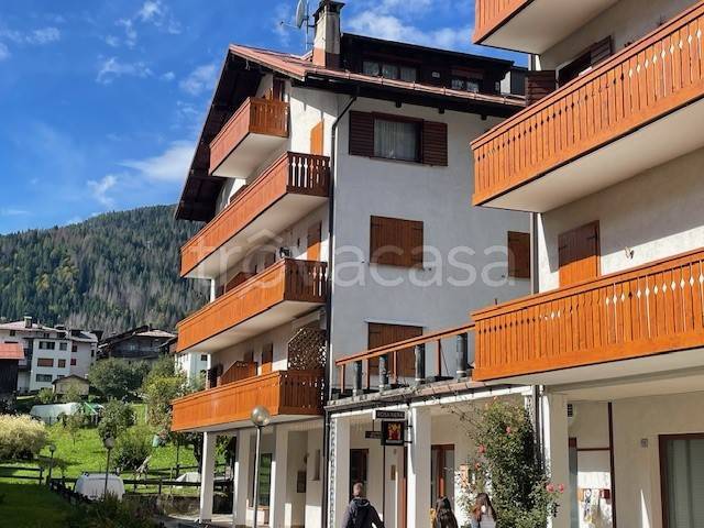 appartamento in vendita a Belluno