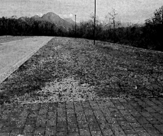 terreno edificabile in vendita a Belluno in zona Miér