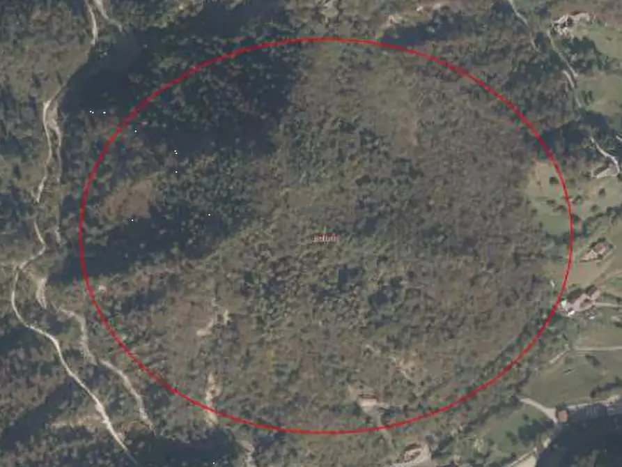 terreno agricolo in vendita a Belluno in zona Bolzano Bellunese